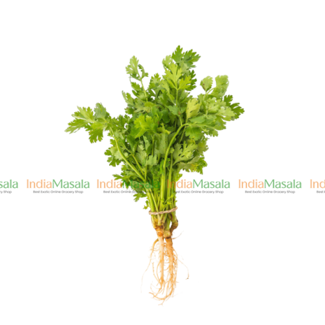 FRESH CORIANDER LEAF