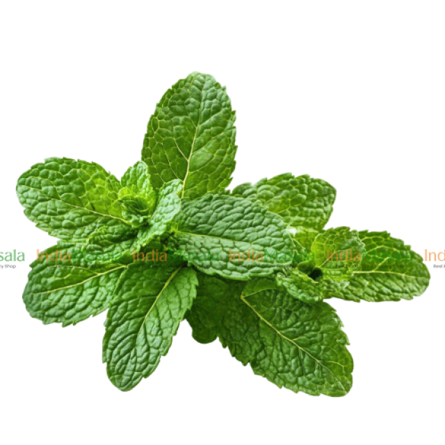 FRESH MINT LEAVES