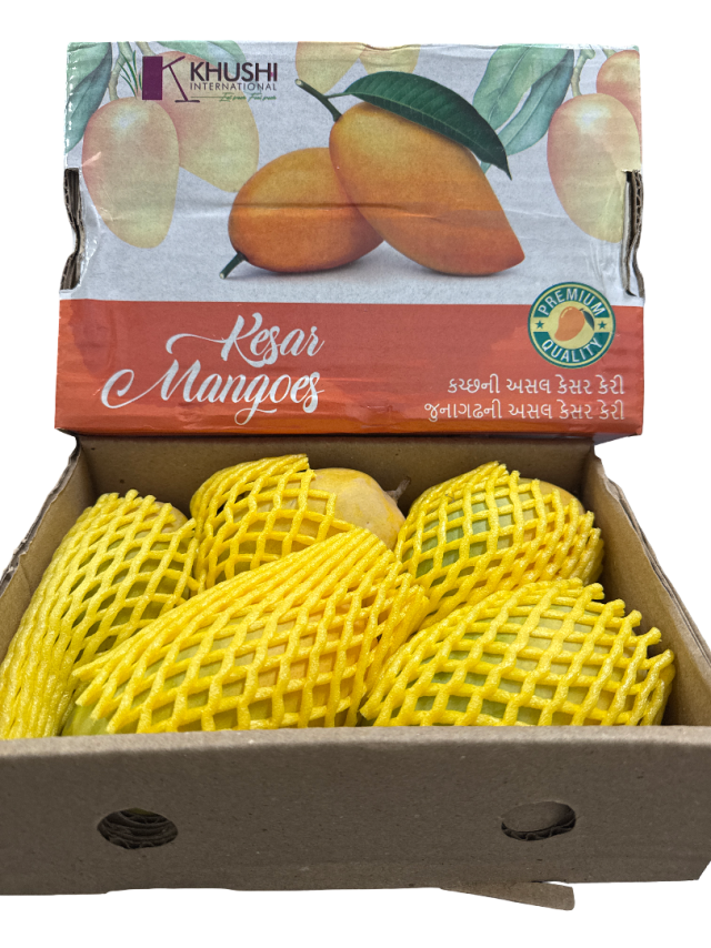 KESAR MANGO (1350G - 1600G)