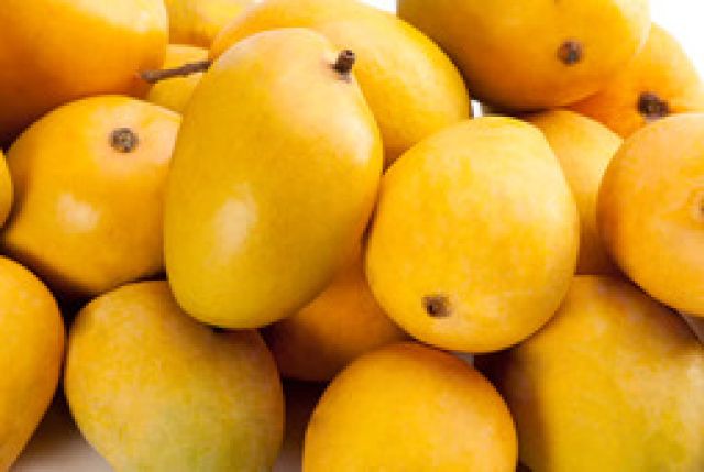 Alphonso Mango - 1box  (1350G -1800G)