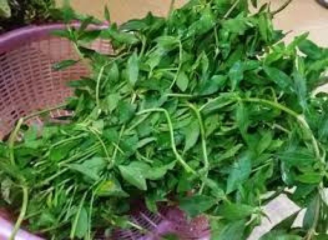 PONNAKANI LEAVES (300G - 380G )